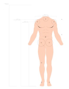 federation-vitruvian-man-(front) work-in-progress