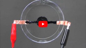 YouTube video demonstrating a dielectric elastomer actuator.